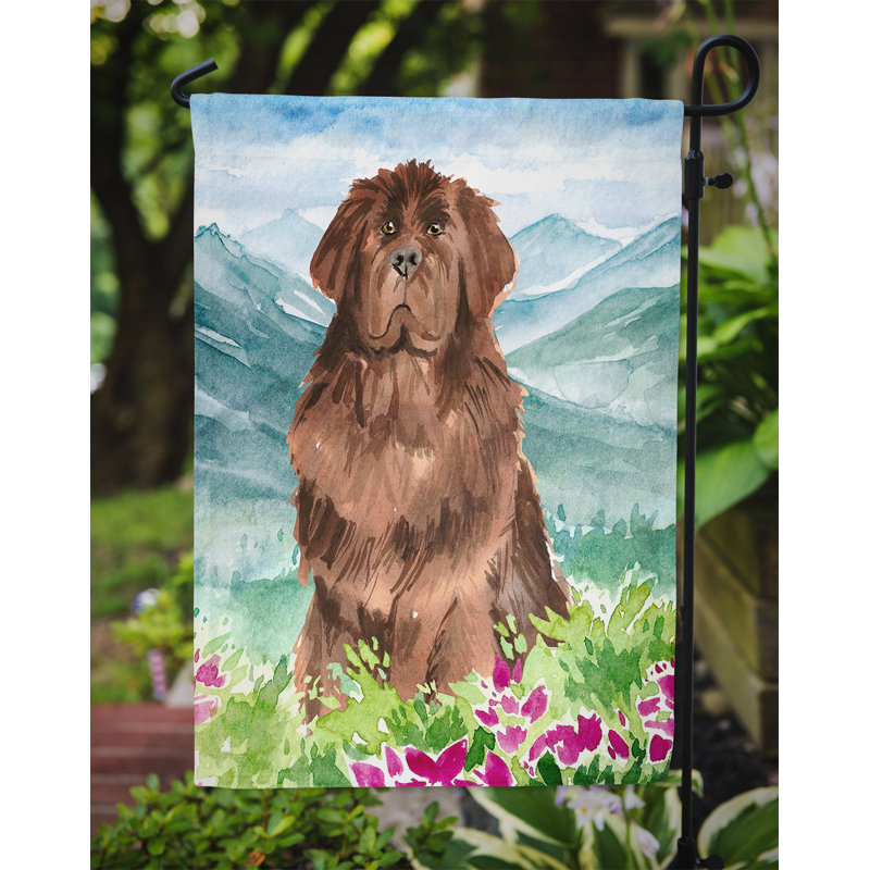 Yorkshire terrier yorkie à 2 côtés en polyester 15 x 11,5 po mountain fleurs drapeau de jardin, Terre-Neuve (caramel/bleu)