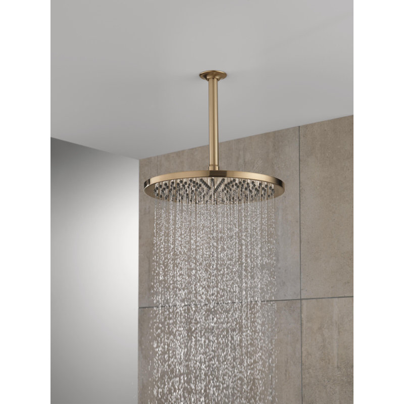 Pomme de douche à réglage unique, Bronze champagne