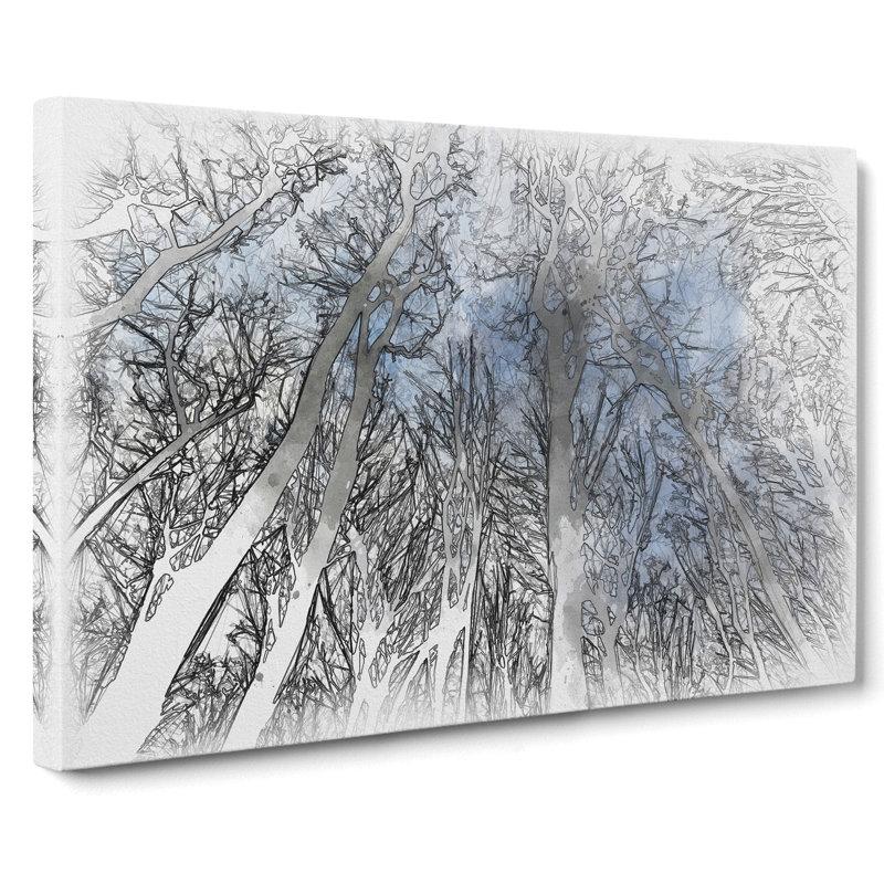 Beautiful Forest - Wrapped Canvas, 35cm H x 50cm W x 3cm D