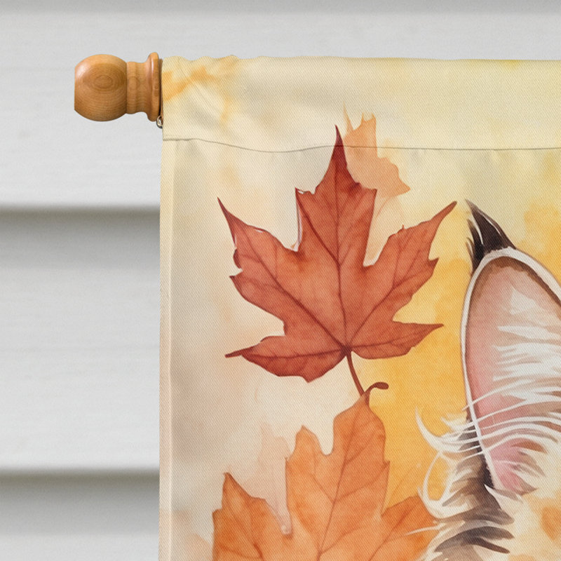 Chat en feuilles d'automne, Skookum