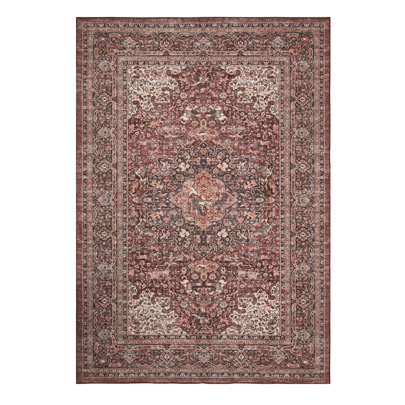 Patsi Washable Oriental Indoor Rug, Rectangle 6' x 9'