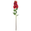 Tige d'Hortensia Milnor-257838433