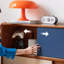 Buffet de couleur de plancher-553608106