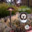 Chaleur Low Voltage LED Path Light, Hexagon Umbrella Pathway Light, 5CCT, Oil Rubbed Bronze-134368473