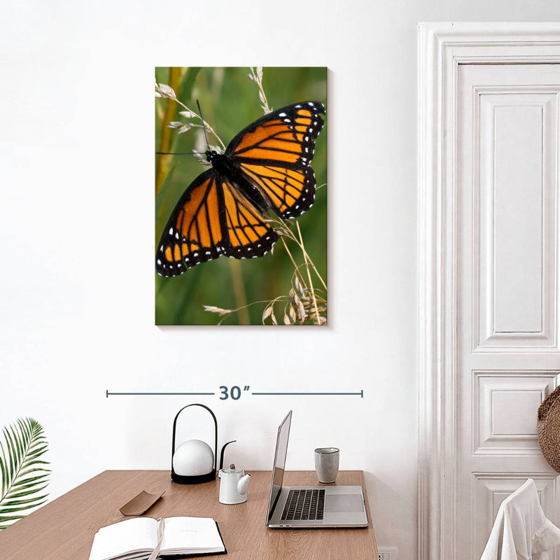 Brampt Monarch Butterfly Up Close, 30" H x 20" W