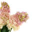 Luxe Cone Hydrangea Arrangement-69486212