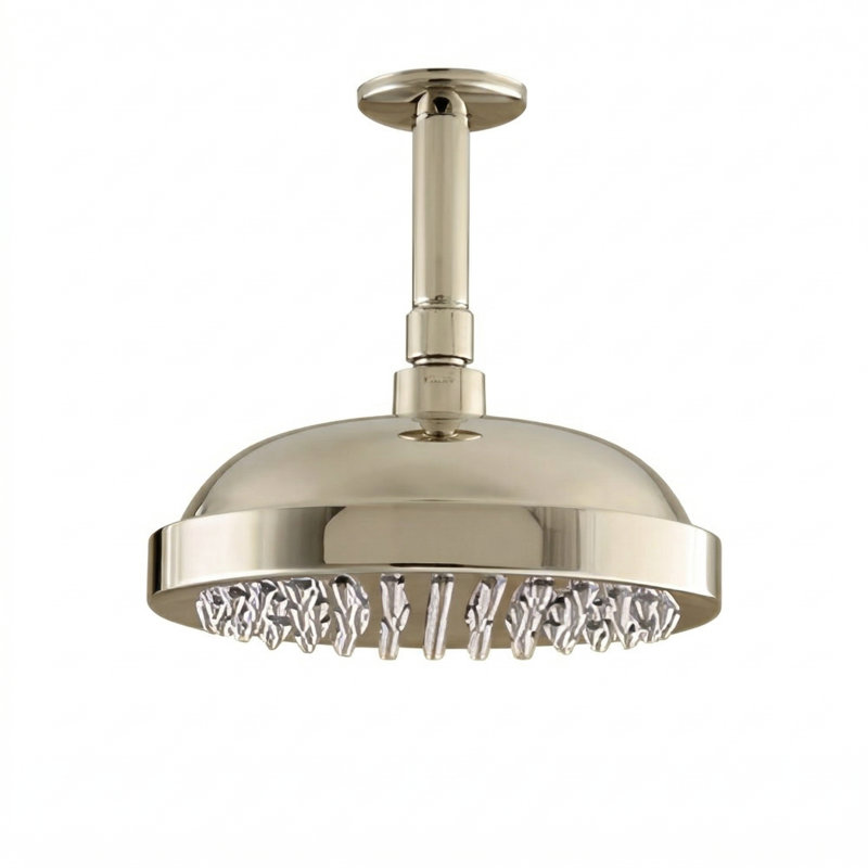 Ceiling Mount 8" Shower Head with 4" Arm & Escutcheon, Polished Nickel