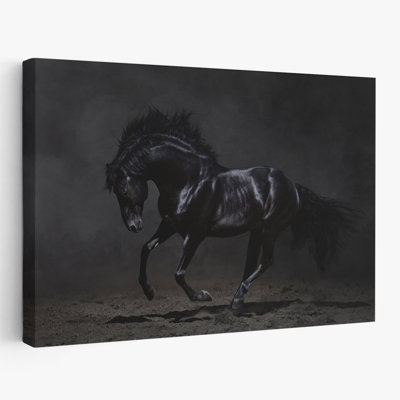 Onyx - photographie, animaux, chevaux, art