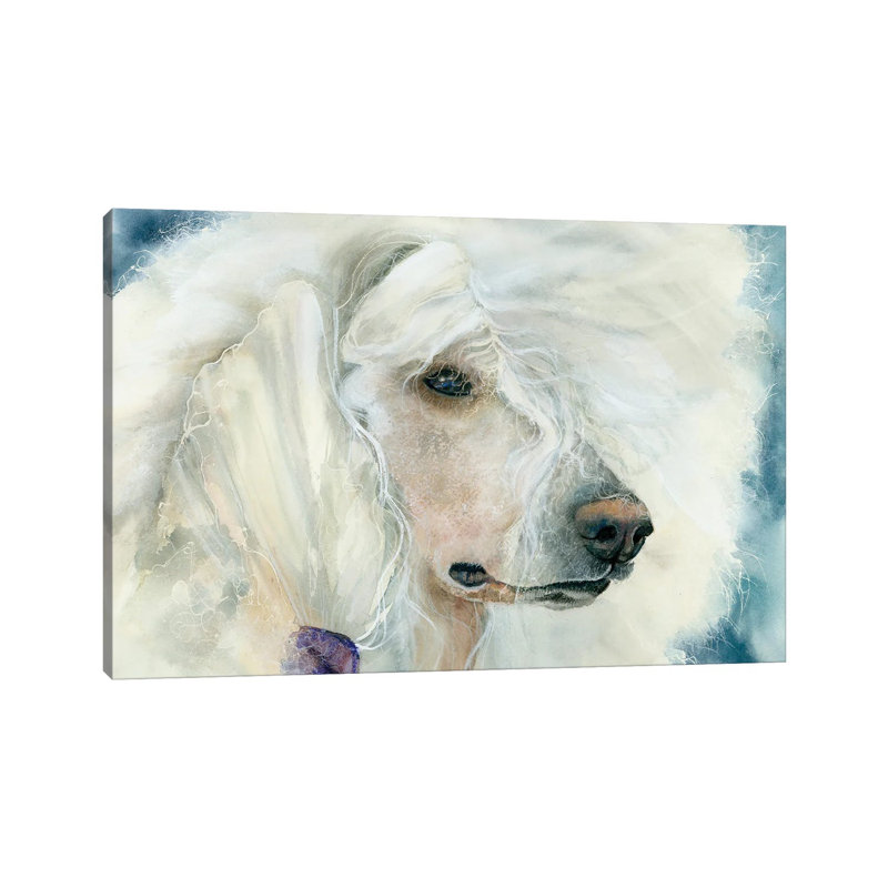 Continental Chic - White Poodle_1PC6, 26" H x 40" W, No Frame, Canvas
