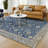 Machine Washable Indoor/Outdoor Chantille ACN2576 Traditional Rug-353034617-353034499