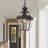 Alexavier Outdoor Hanging Lantern-809966412