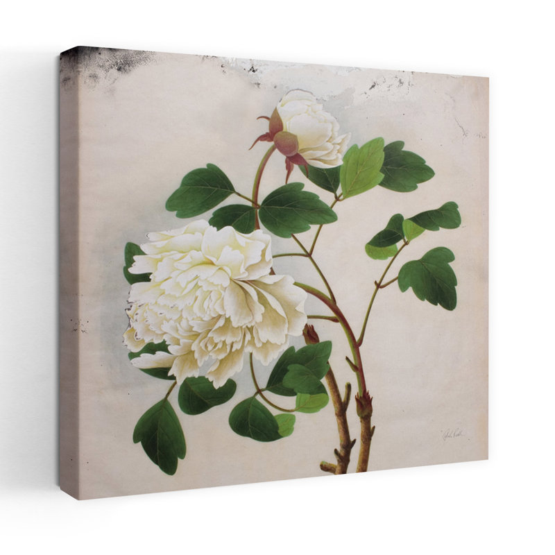 Art floral contemporain pivoine blanche, H 24 po x l 24 po