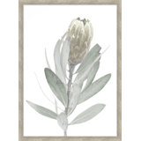 Blanched Plant 7 Print