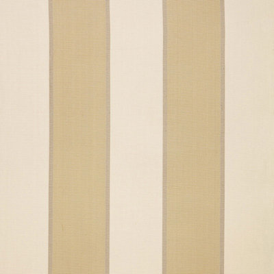 Montebello Stripe Fabric