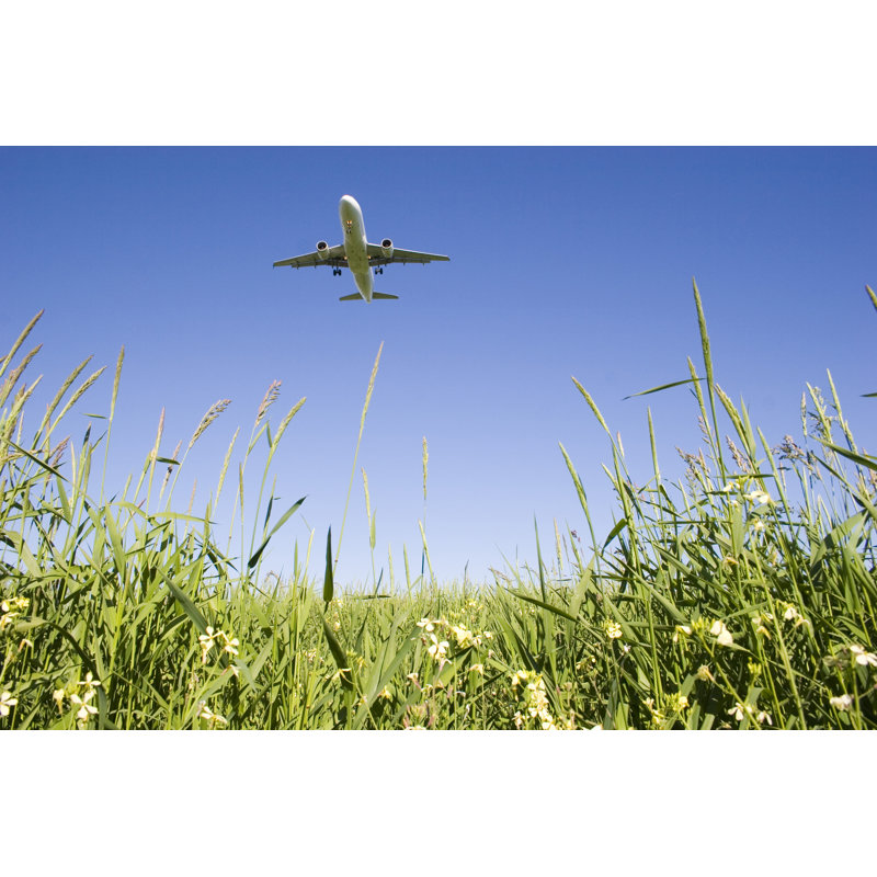 Airplane Over Grassy Field 2 - Wrapped Canvas Print, 30cm H x 46cm W