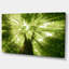 Sunlight Peeking Through Green Tree - impression d'art graphique-712535465-712535470