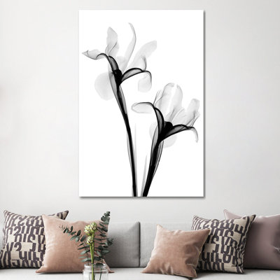 Two Irises I by Hong Pham - Wrapped Canvas Print