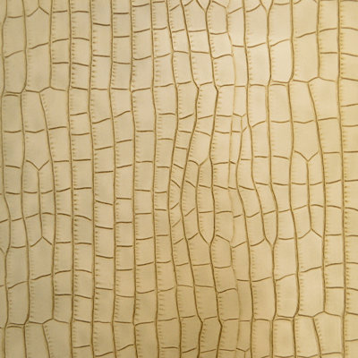 Tissu de colon