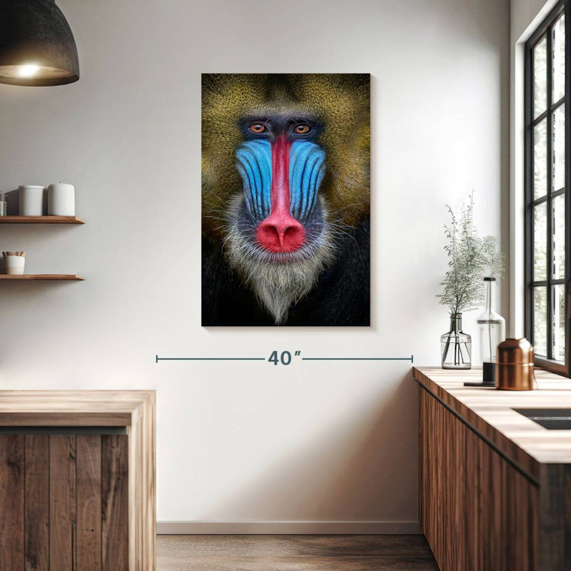Brampt Mandrill Monkey, 39" H x 26" W