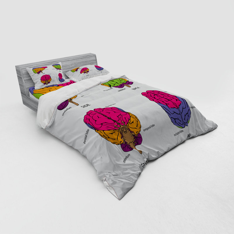 Educational Modern & Contemporary Polyester Duvet Cover, Queen Duvet Cover + 3 Additional Pieces
