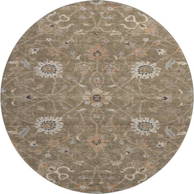 Premium Machine Washable Ducote AMF1137 Global Rug