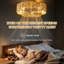 20" Bartlomiej Boho Caged Ceiling Fans with Lights for Bedroom with Remote Control Flush Mount