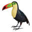 Toucan Decor 14 po