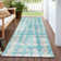 Zanya Indoor / Outdoor Rug