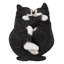 Sleeping Couple Cats-67579692
