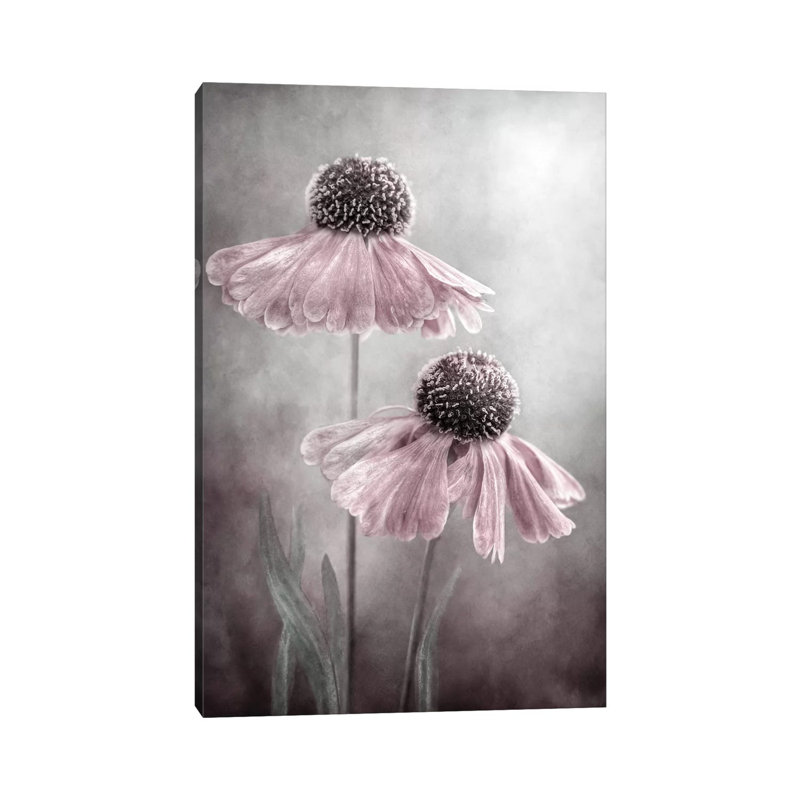 Duet by Mandy Disher - Wrapped Canvas Painting, 66.04 cm H x 45.72 cm W x 1.91 cm D