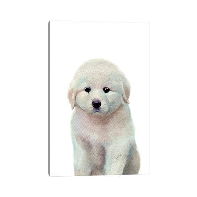 Great Pyrenees Puppy - Wrapped Canvas Print
