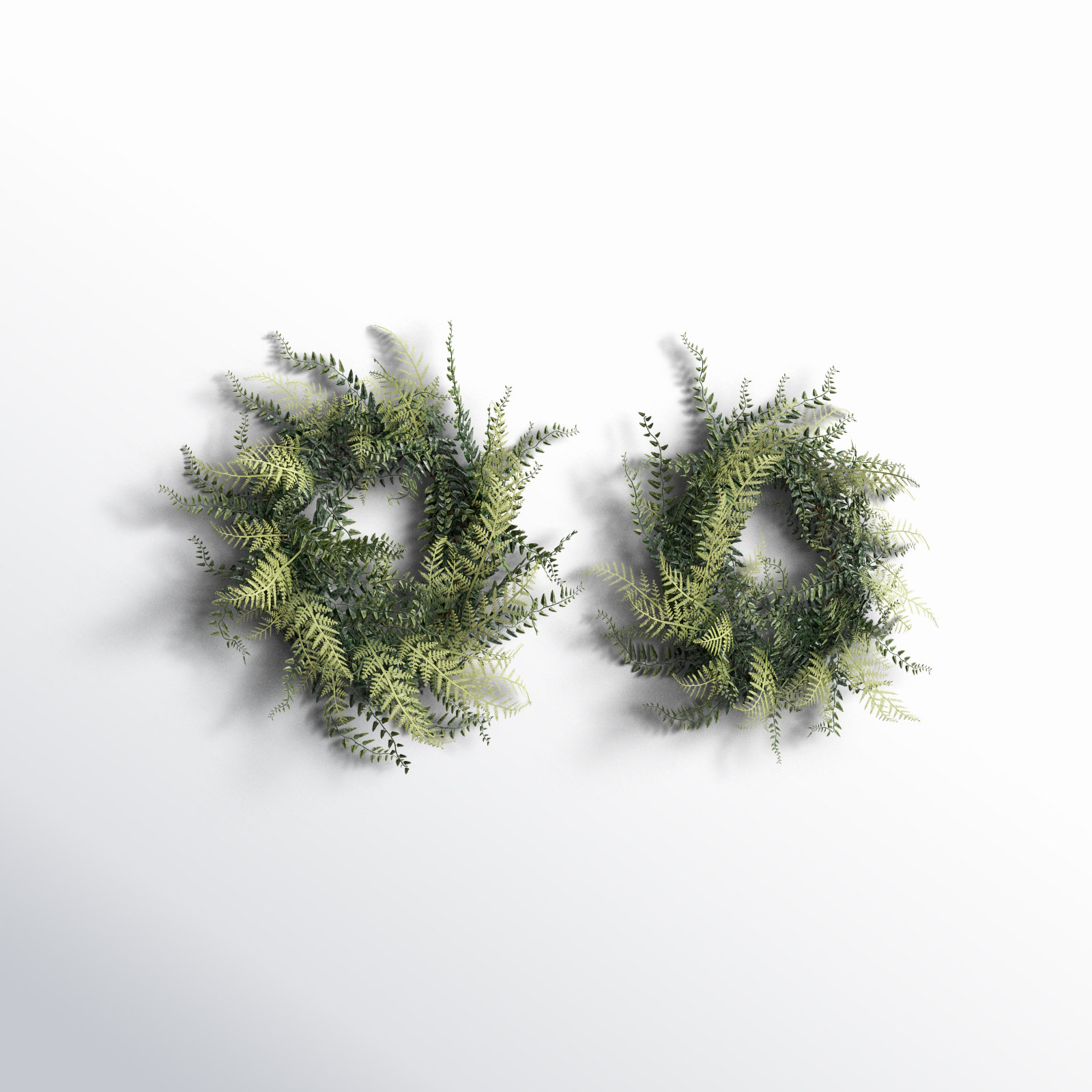 Fern Wreath, 18" H x 18" W x 4" D