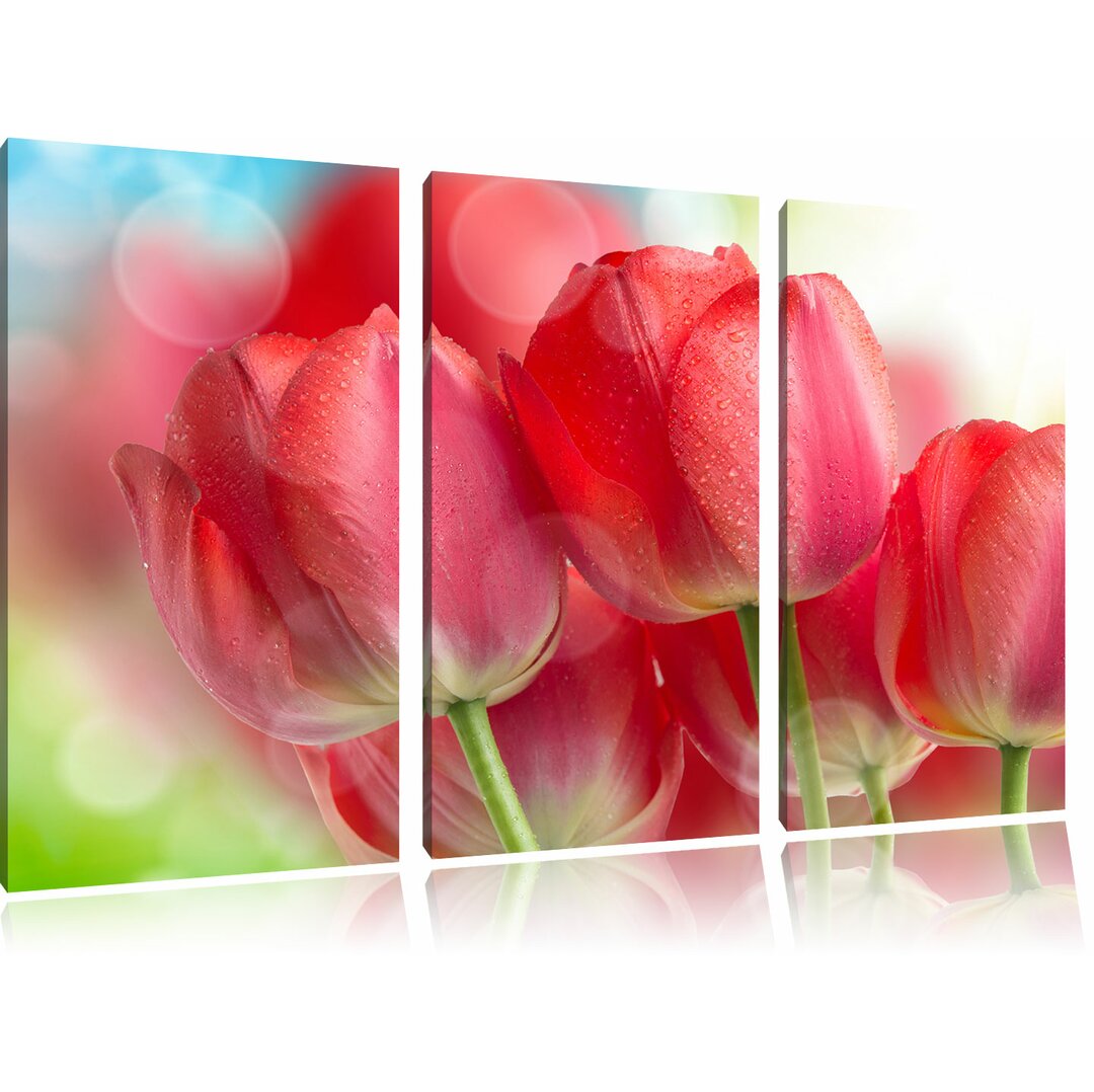 3-tlg. Leinwandbilder-Set „Rote Tulpen", Fotodruck