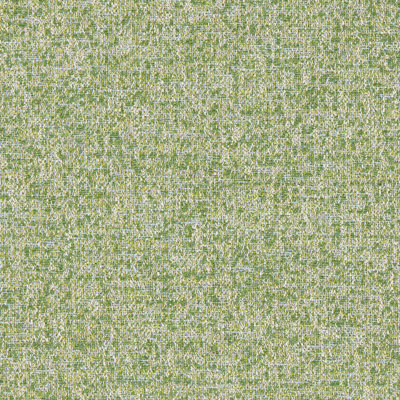 Speckle