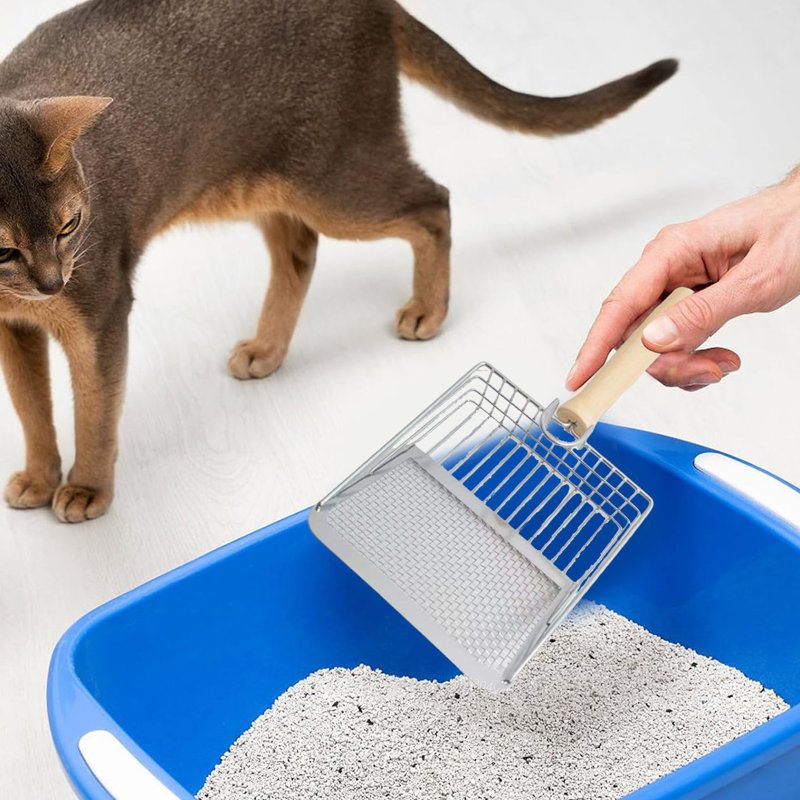 Litière pour chat avec pelle en métal avec poignée en bois, Argent argent