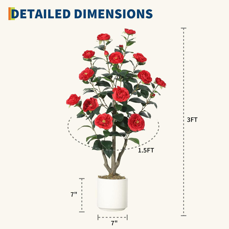 Arrangement