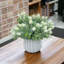 Arrangement de bébé en pot-887932956