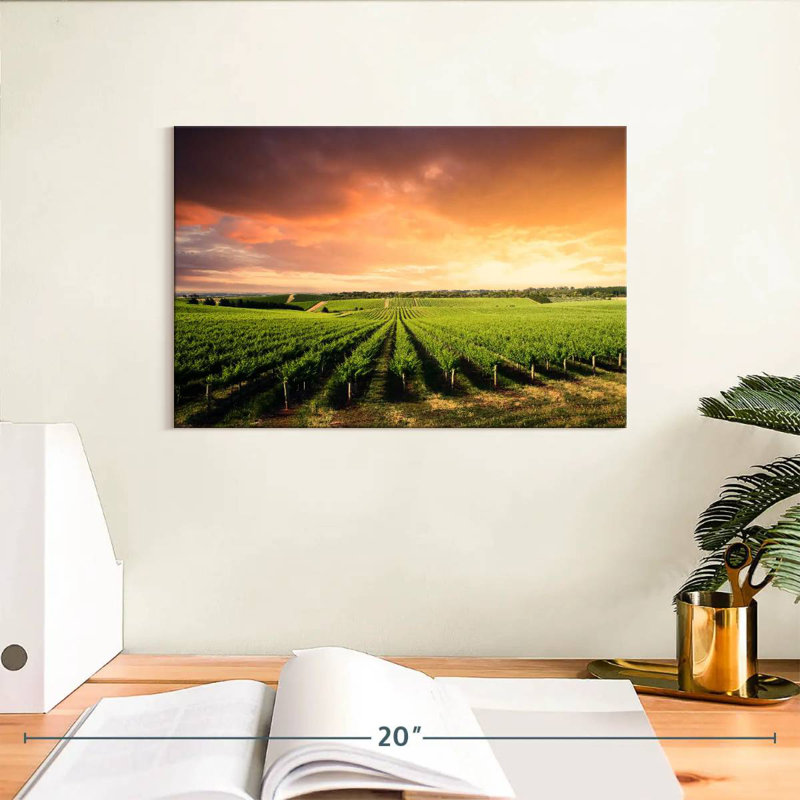 Alvord Vineyard Sunset Horizon, H 8 po x l 12 po
