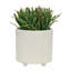 Jardinières texturées S / 2 6/8 po-1207122781