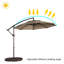 Parasol en porte-à-faux 10 pi Anasa-1509398616