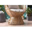 Gullickson Wicker Balloon Chair