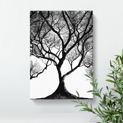 Shadow Of A Tree No.1 - Wrapped Canvas