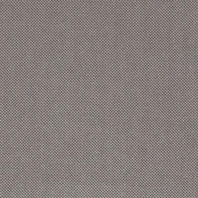 Tissu Bayberry Embossed Velvets, Taupe
