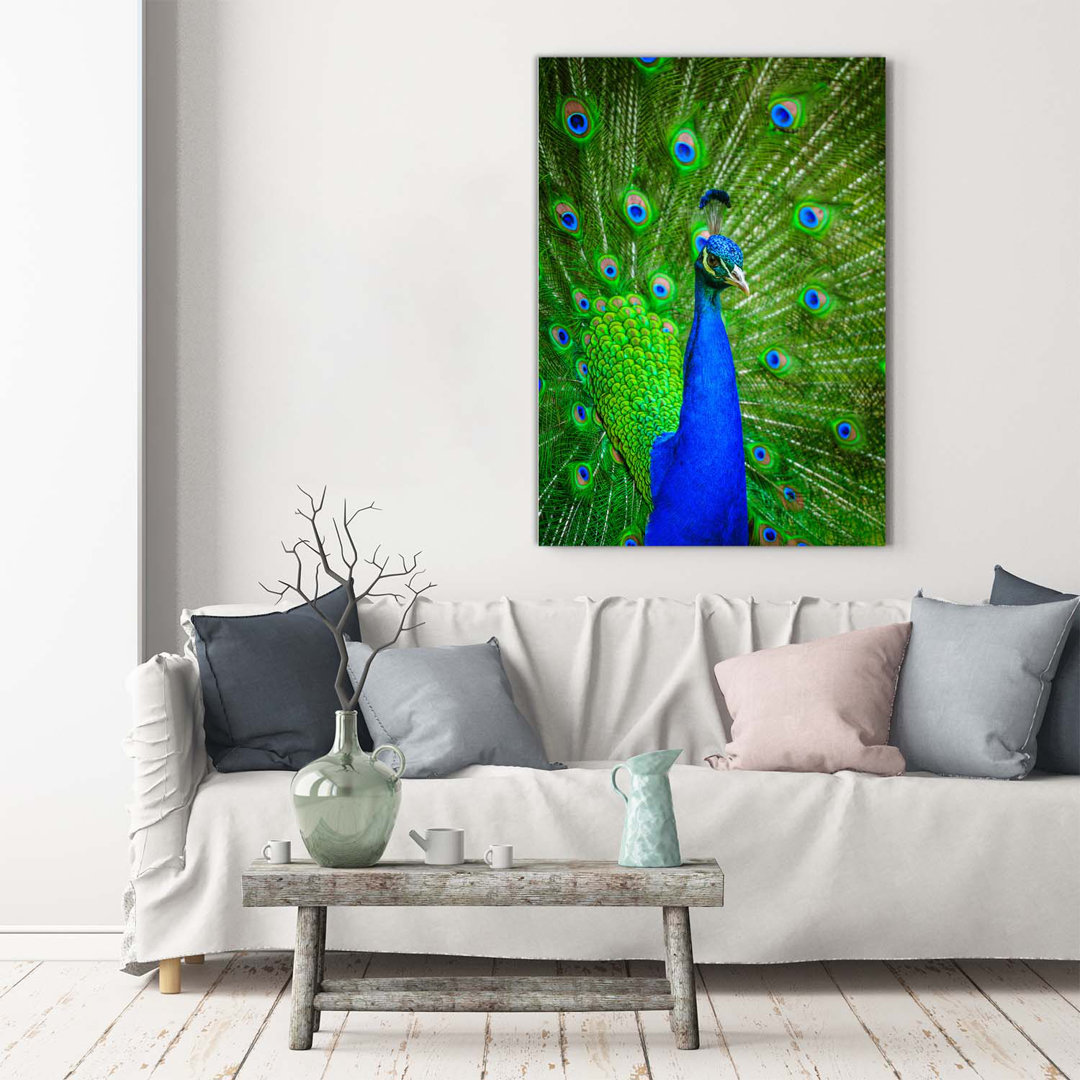 Pfau - Kunstdrucke auf Leinwand - Wrapped Canvas