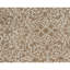 Tapis beige et brun de haute qualité noué à la main