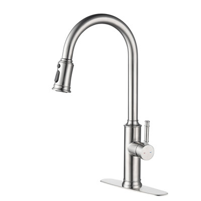 Interbath Pull Down Kitchen Faucet