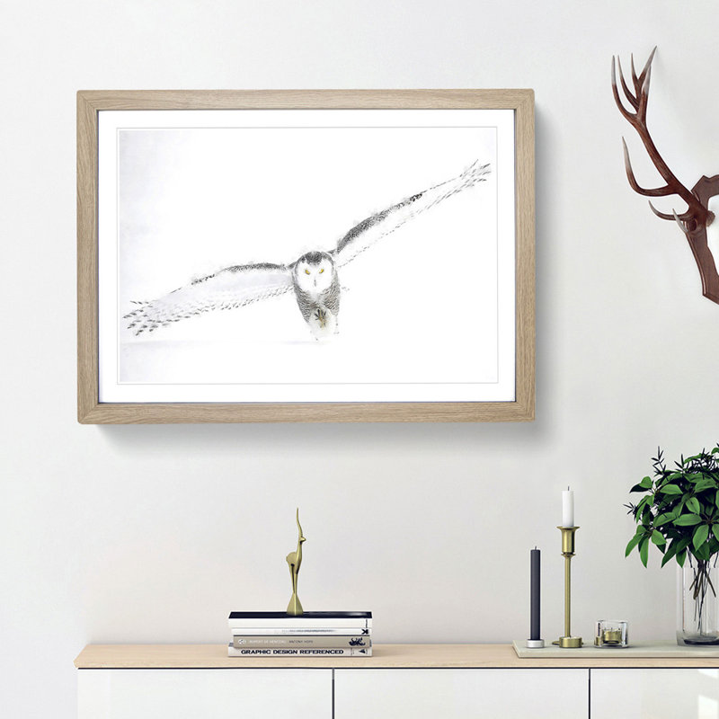 Snowy Owl - Single Picture Frame Painting on MDF, 62cm H x 87cm W x 2cm D, Oak Framed