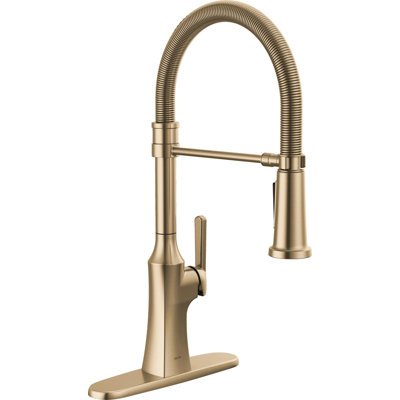 Robinet de cuisine Ermelo Pro