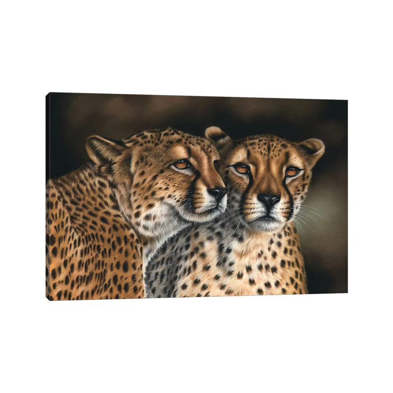 Cheetahs by Richard Macwee - Wrapped Canvas Print, 20.32 cm H x 30.48 cm W