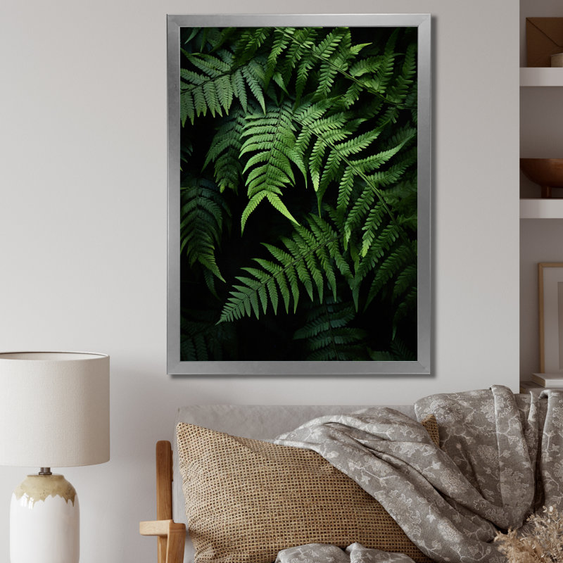 Breonna Ferns Plant Mystical Shadows I sur impression sur toile, H 20 po x l 12 po x P 1 po, Cadre photo argenté